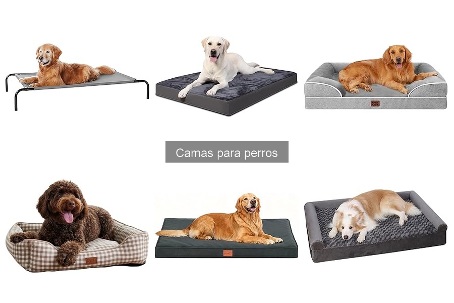 ¿Qué tamaño de cama necesita mi perro? Guía fácil