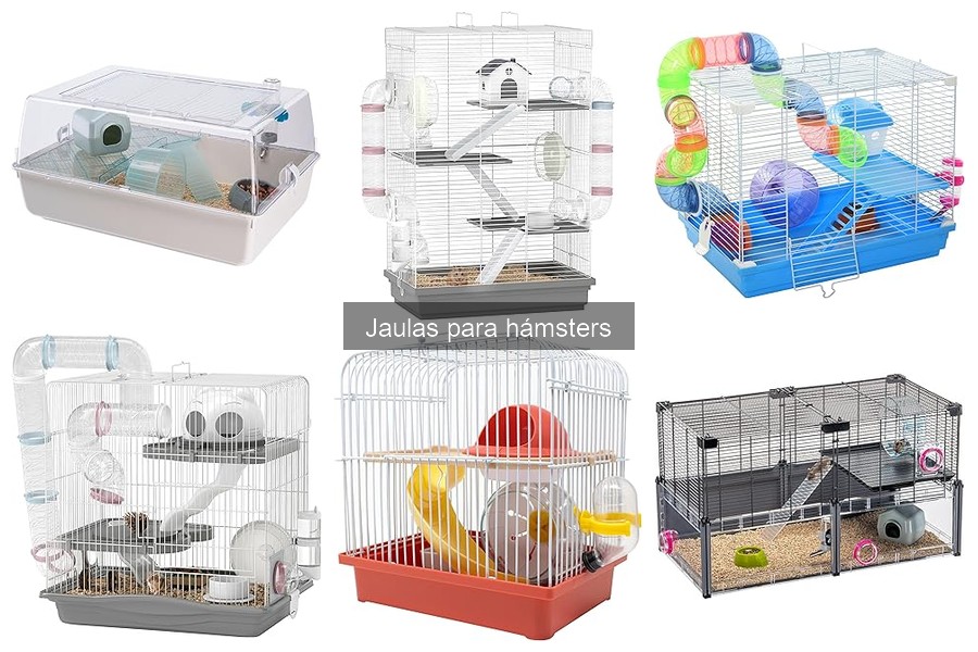¿Qué tamaño de jaula necesita un hámster? Guía de dimensiones