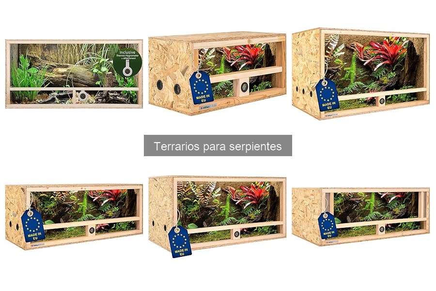 ¿Qué tamaño de terrario necesita mi serpiente? Guía 2023
