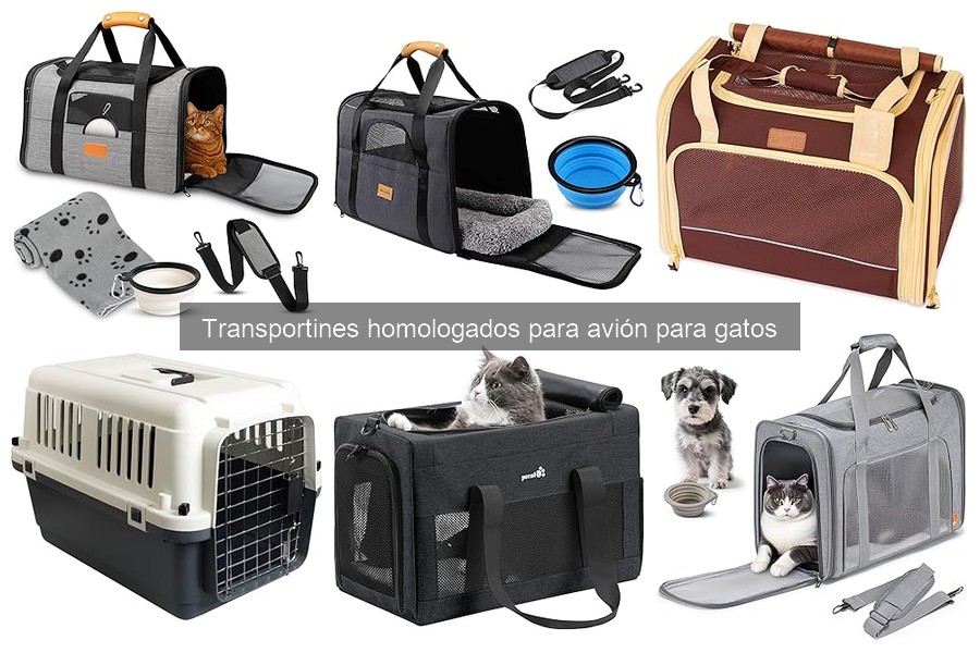 ¿Qué tamaño de transportín homologado necesita mi gato?