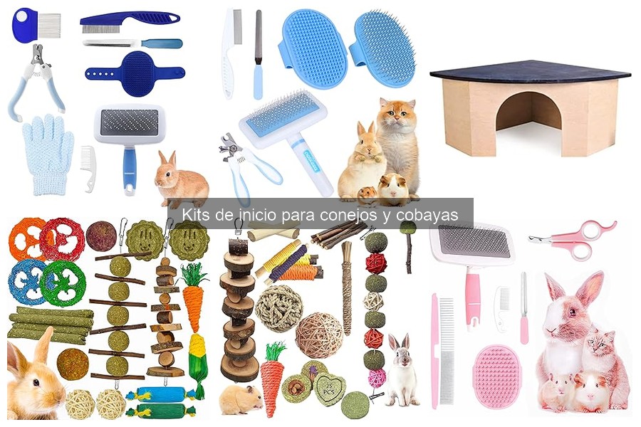 ¿Qué Trae un Kit de Inicio para Conejos y Cobayas?