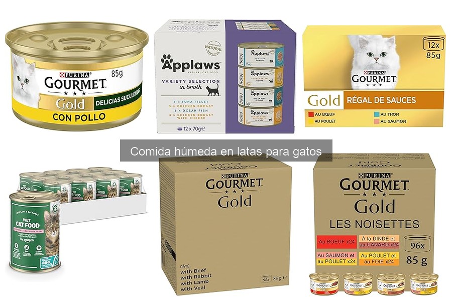 Reacciones Adversas a Comida Húmeda en Latas para Gatos