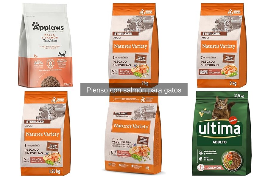 Reacciones adversas al pienso de salmón en gatos