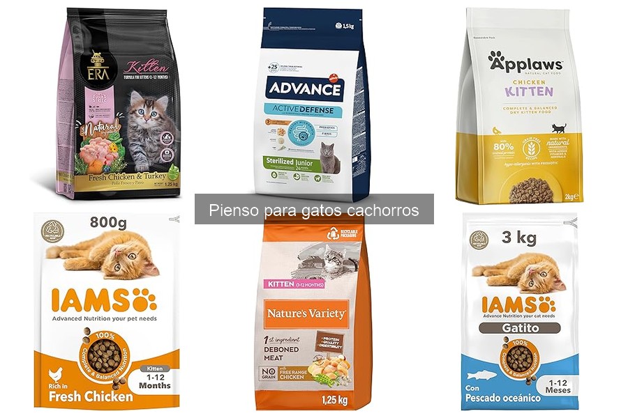 Reacciones adversas al pienso para gatos cachorros: soluciones