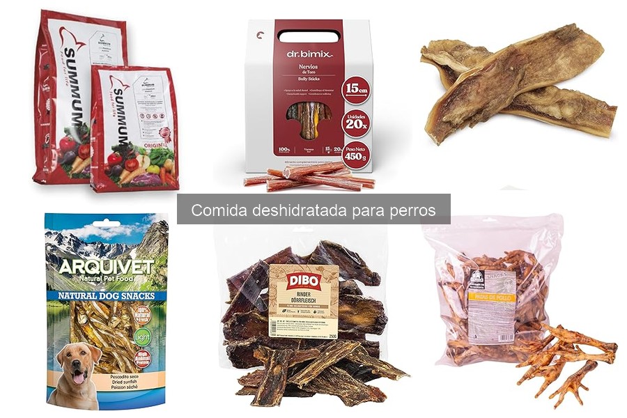 Recetas Caseras de Comida Deshidratada para Perros