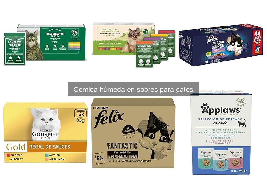 Recetas Caseras de Comida Húmeda para Gatos Saludables