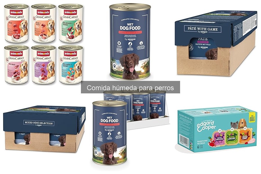 Recetas caseras de comida húmeda para perros fáciles y nutritivas