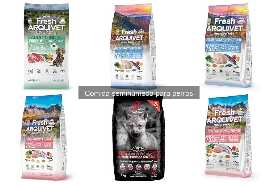Recetas caseras de comida semihúmeda para perros