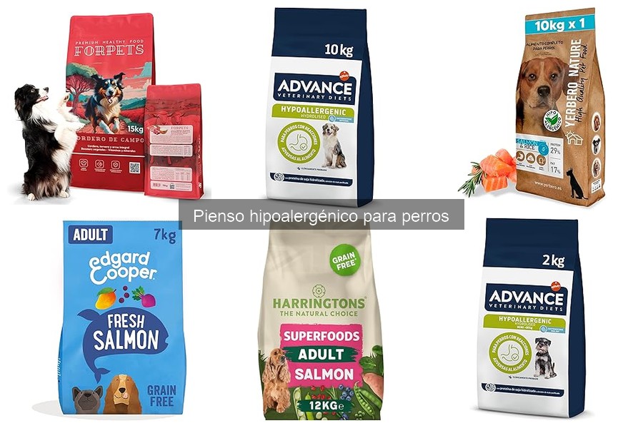 Recetas Caseras de Pienso Hipoalergénico para Perros