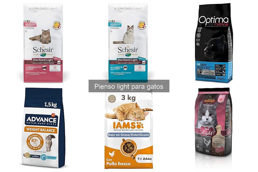 Recetas Caseras de Pienso Light para Gatos: ¡Fácil y Saludable!
