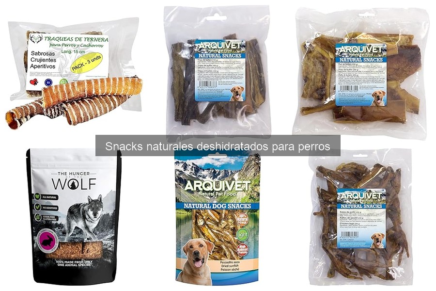 Recetas Caseras de Snacks Naturales Deshidratados para Perros