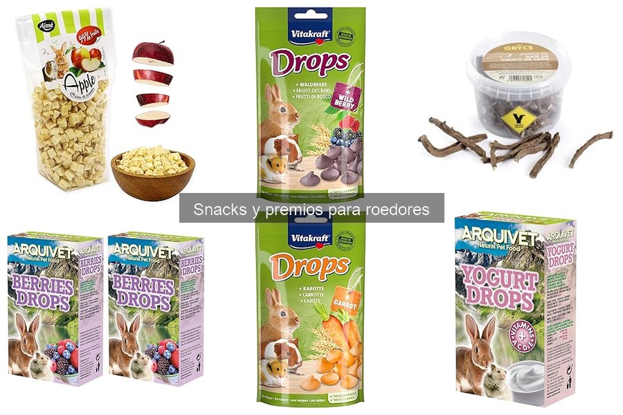 Recetas caseras de snacks saludables para roedores