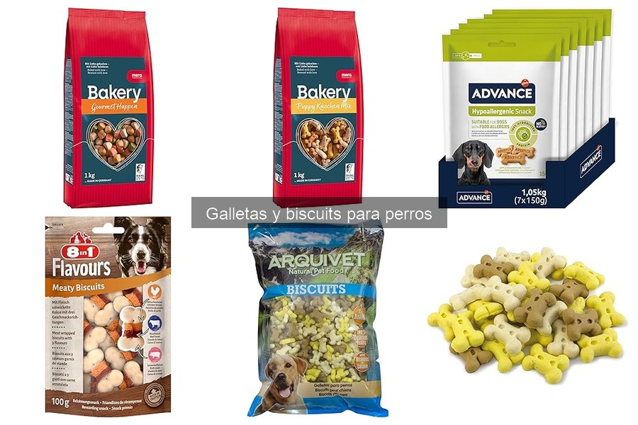 Recetas de Galletas Caseras para Perros Saludables