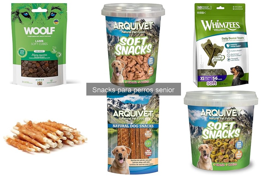Recetas de Snacks Caseros Saludables para Perros Senior