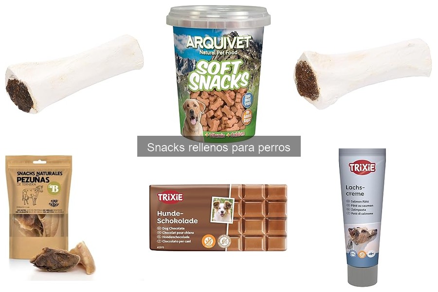 Recetas de Snacks Rellenos Caseros para Perros Saludables