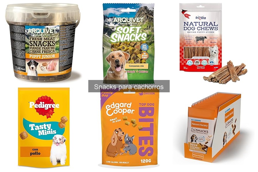 Recetas fáciles de snacks caseros para cachorros