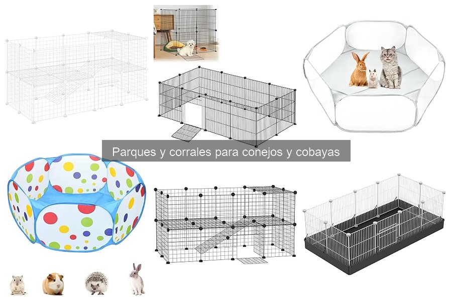 Recomendaciones de Seguridad para Parques de Conejos