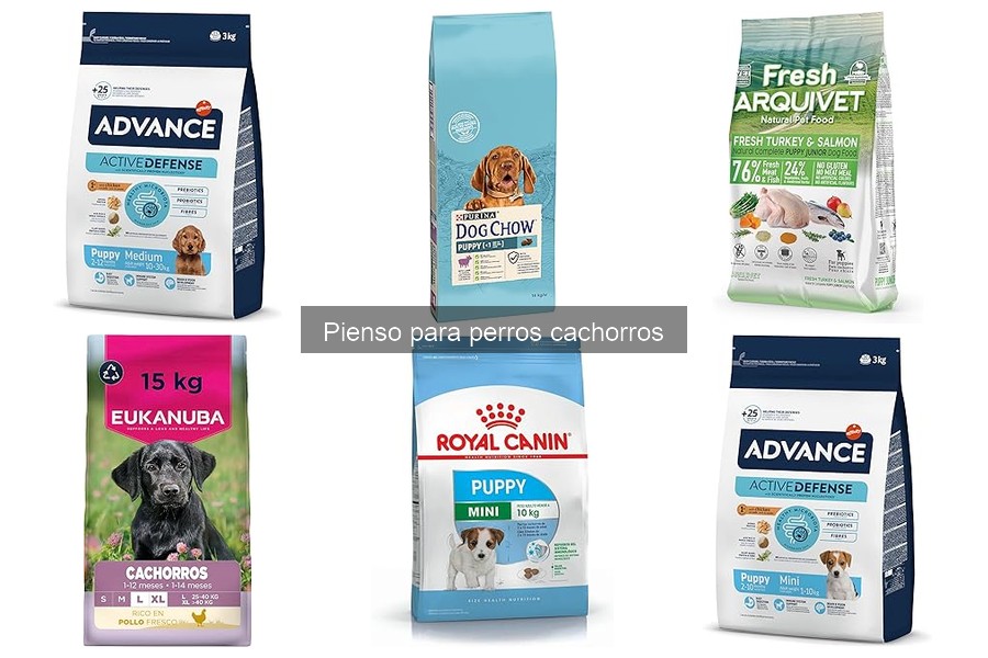 Recomendaciones de Veterinarios sobre Piensos para Cachorros