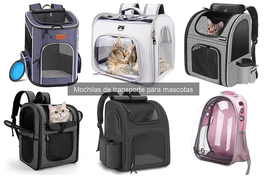 Requisitos de Seguridad en Mochilas para Mascotas