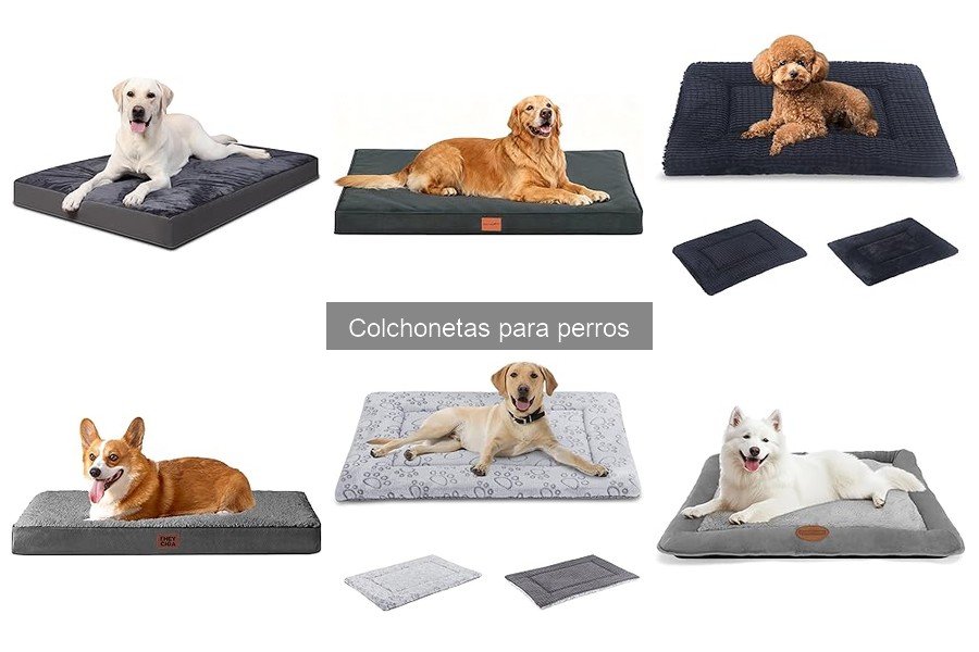 Reseñas de Colchonetas para Perros: Opiniones de Usuarios