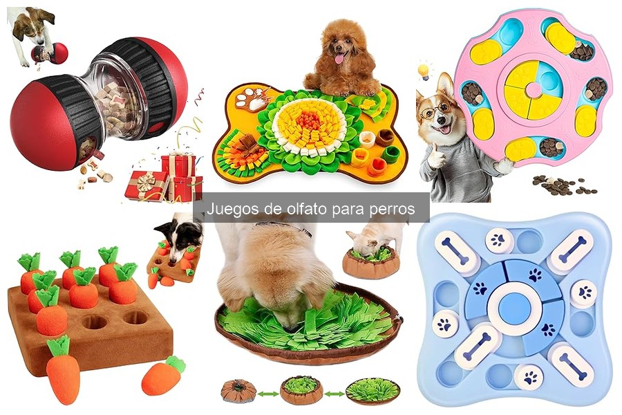 Reseñas de los Mejores Juegos de Olfato para Perros
