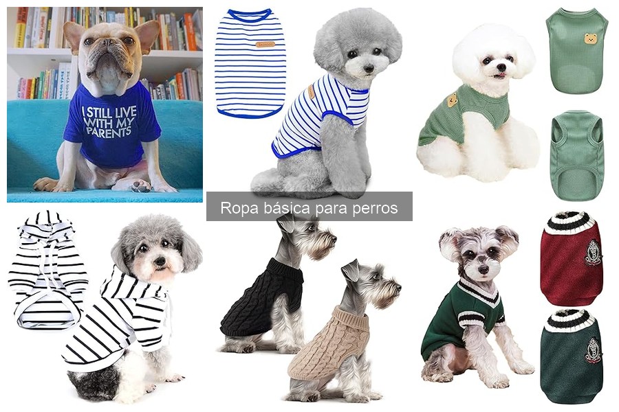 Ropa básica para perros: dónde comprar a buen precio