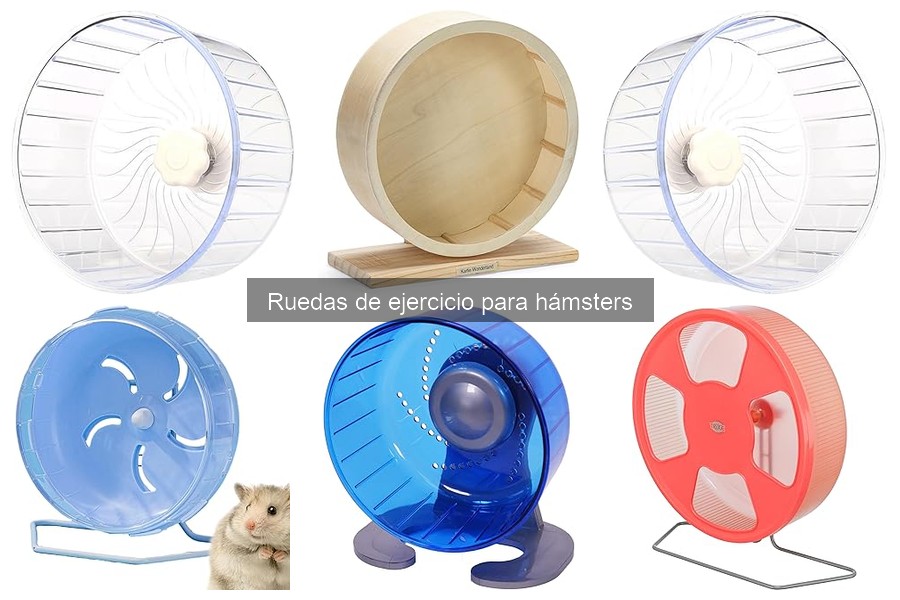 Ruedas de ejercicio para hámsters: ¿cuáles evitar?