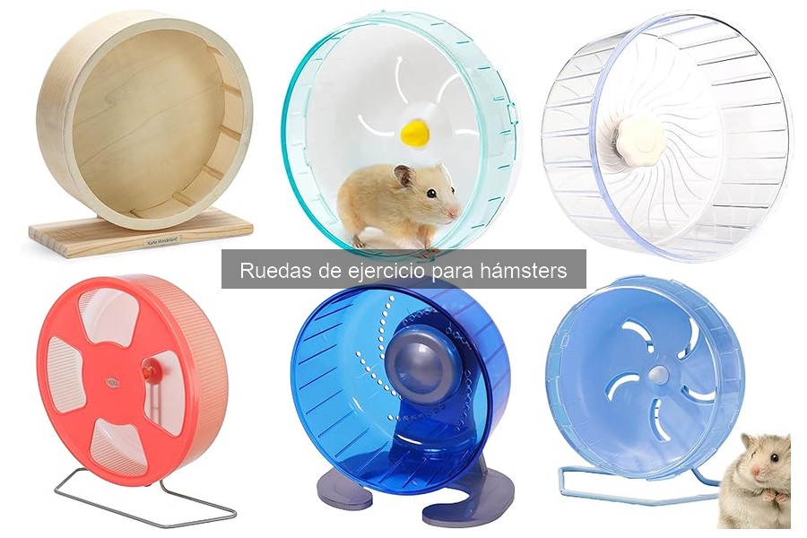Ruedas de ejercicio para hámsters: ¿Cuánto cuestan?