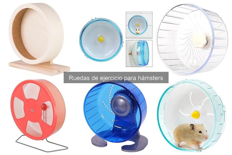 Ruedas de ejercicio para hámsters: ¿Por qué son esenciales?