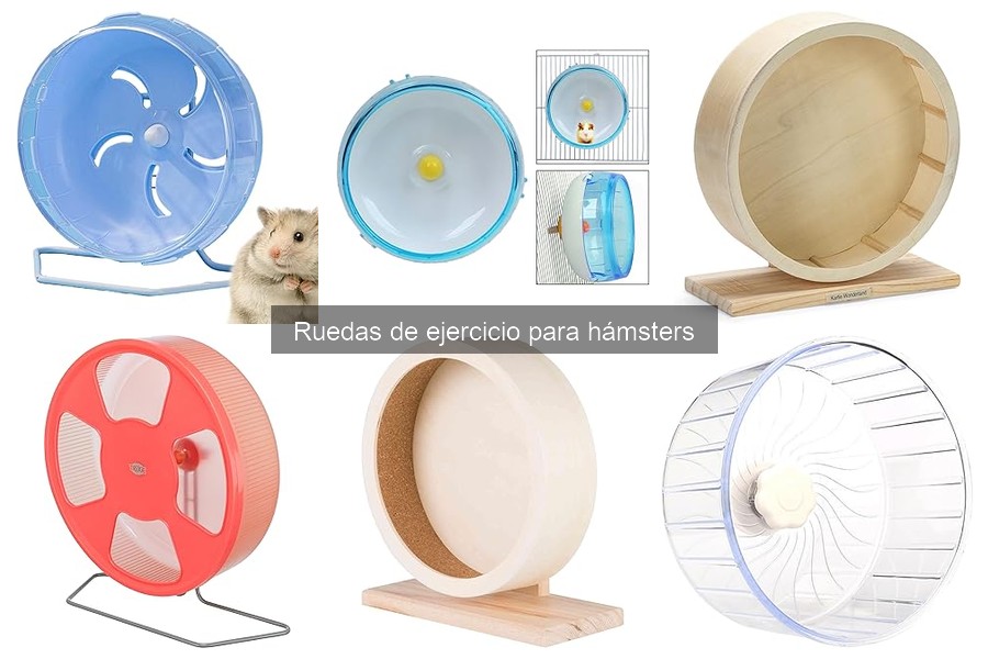 Ruedas de ejercicio recomendadas por veterinarios para hámsters