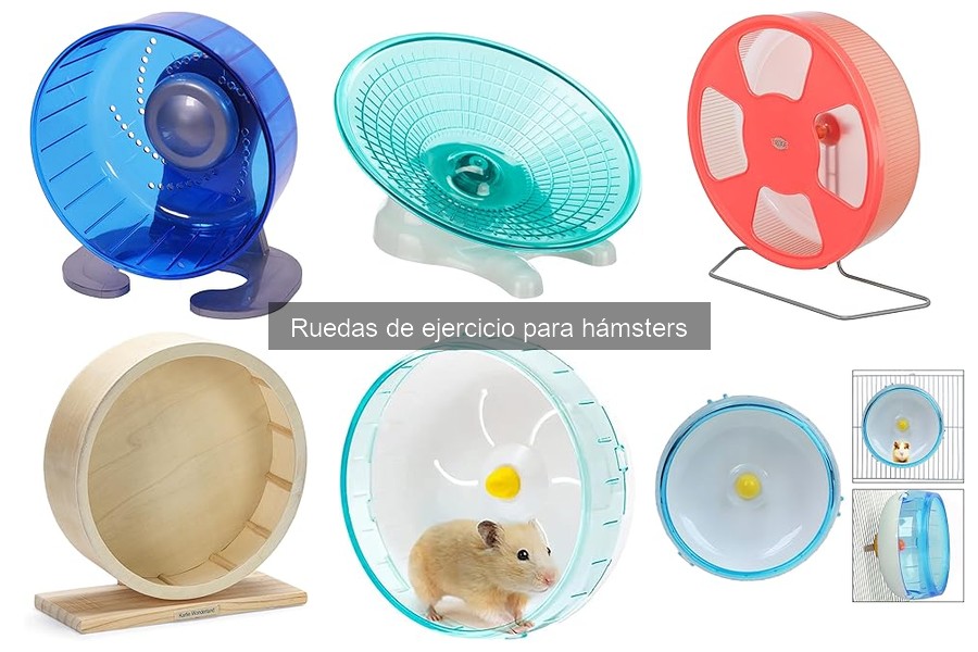 Ruedas de ejercicio silenciosas para hámsters: guía de compra