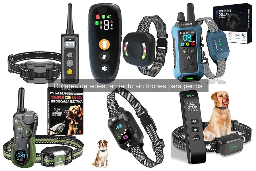 Seguridad en collares de adiestramiento sin tirones para perros