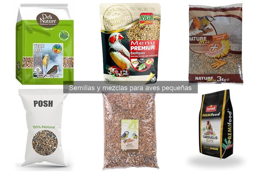 Semillas tóxicas para aves pequeñas: ¡Evítalas ya!