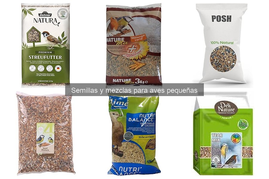 Semillas y mezclas para aves pequeñas: ¿Qué son y beneficios?
