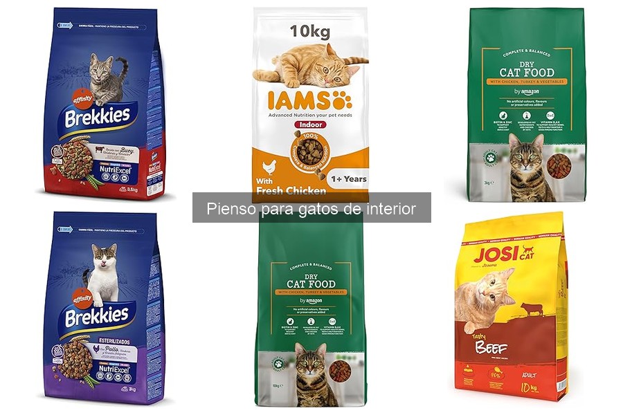 Señales de que tu gato no está satisfecho con su pienso