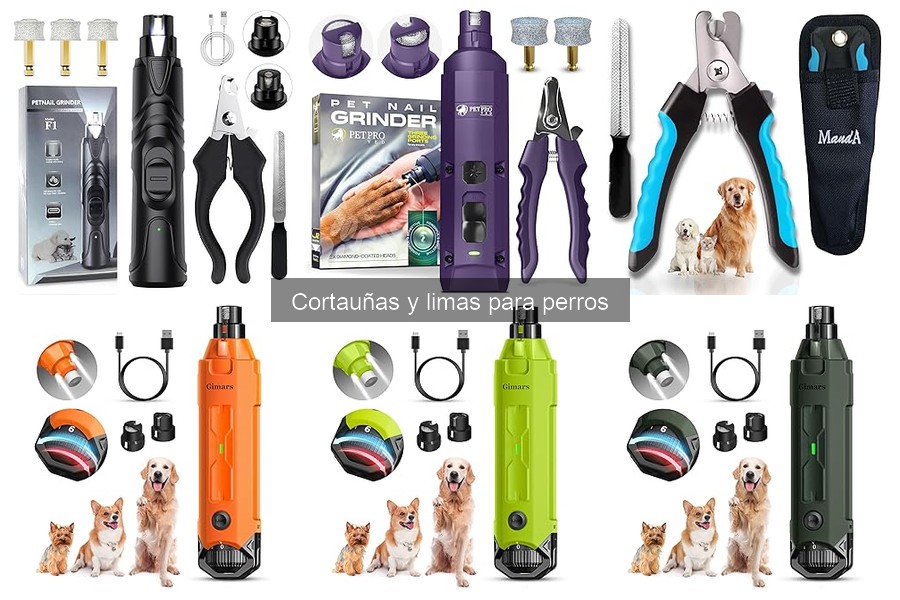 Señales de que tu perro necesita un cortauñas