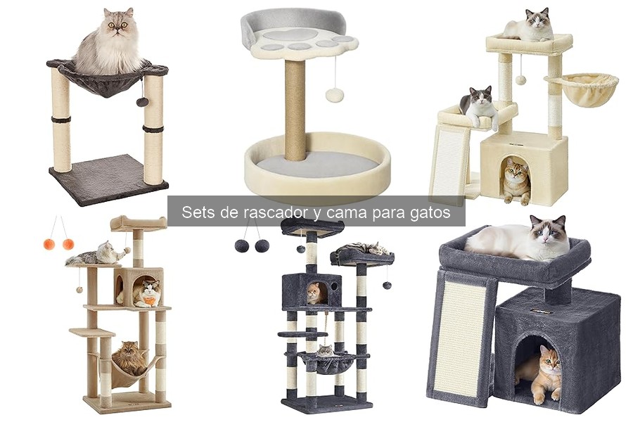 Sets de rascador y cama: ¿ideales para gatos jóvenes y adultos?