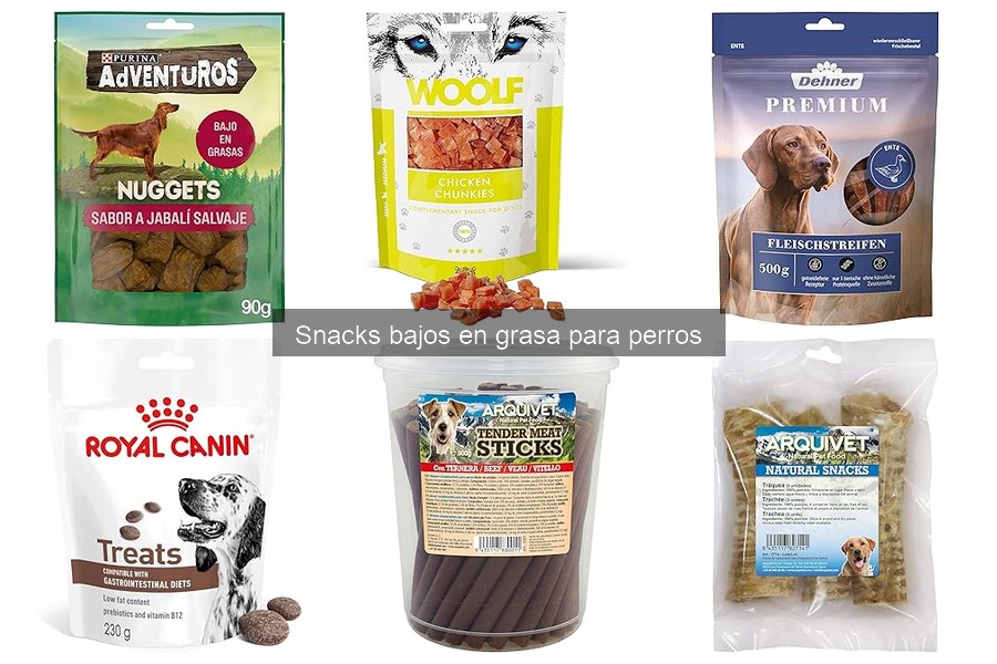 Snack bajos en grasa vs. snacks normales para perros
