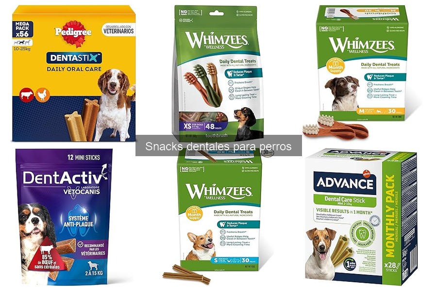 Snacks dentales seguros para perros con alergias: ¿Son aptos?