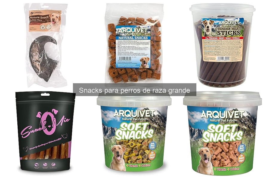 Snacks ideales para entrenar a perros de raza grande