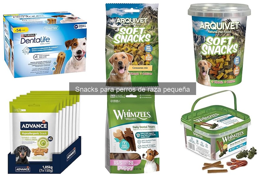 Snacks para perros de raza pequeña: ¿Son seguros los de humanos?