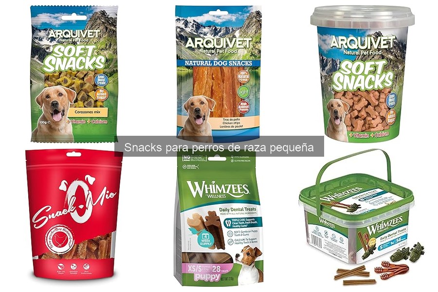 Snacks para perros pequeños según su edad: consejos esenciales