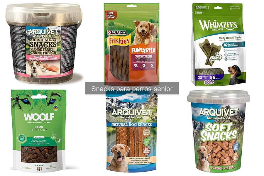 Snacks para perros senior: cómo elegir según su tamaño