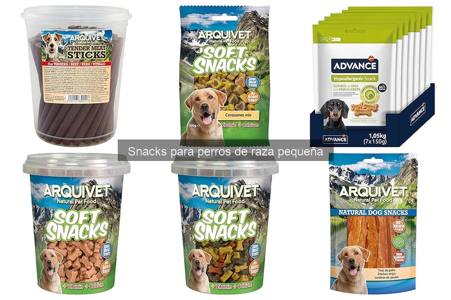 Snacks peligrosos para perros pequeños: ¡Evítalos!
