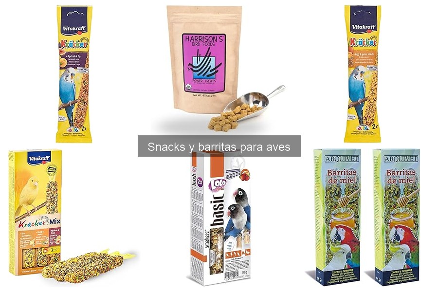 Snacks y barritas para aves: ¿Qué son y sus beneficios?
