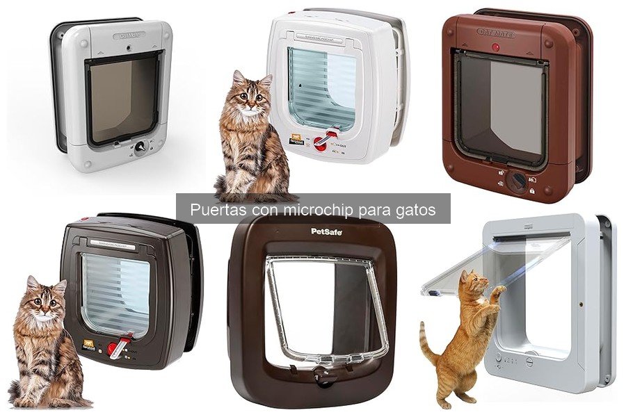 Soluciones a problemas de reconocimiento del microchip en puertas