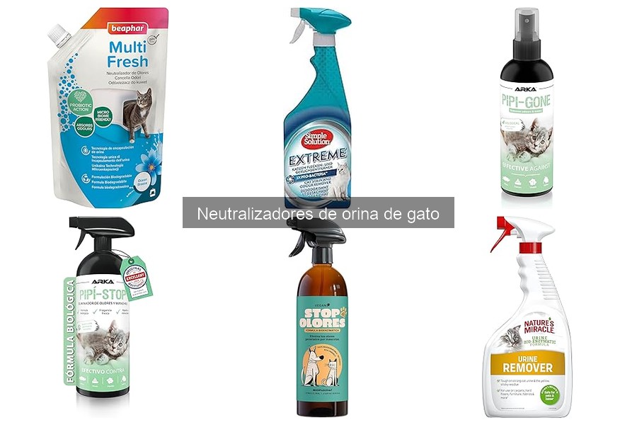 Soluciones Alternativas para Neutralizar Orina de Gato