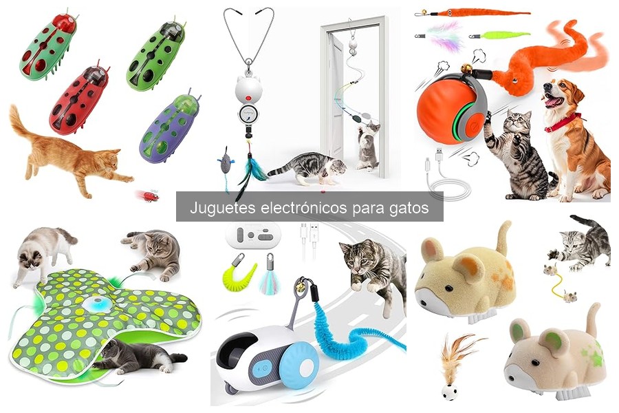 Soluciones para el desinterés de tu gato por juguetes electrónicos