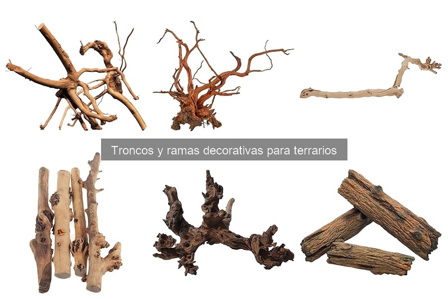 Soluciones para troncos y ramas dañadas en terrarios