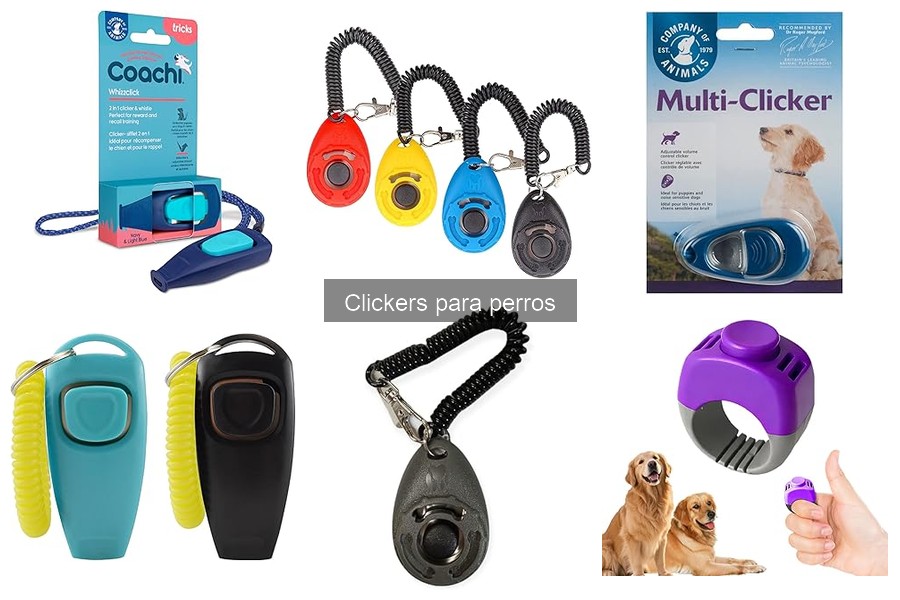 Soluciones si tu perro no responde al clicker